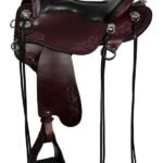 Tucker endurance saddle Horizon Outpost 179
